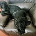 Ben Cotterill - Facebook