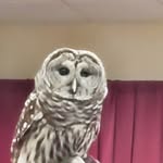 Benjamin Courville - @bencouryt - Instagram