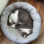 ben covert - @sandwich7429 - Instagram