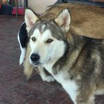 Ben Covington - @bencovington302 - Instagram