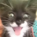 Ben Cowling - @cowling.b - Instagram