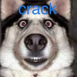 Ben Crago - @ididmemes_at_school - Instagram