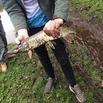 ben - @bencrankx - Instagram