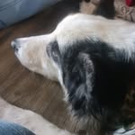 548796 - @bencreager2011 - Instagram