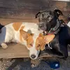 benjie - @benjiecredle - TikTok