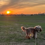 Ben - @dabbs.ben - Instagram