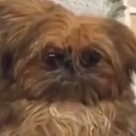 Ben Daigle - @daigle2727 - Instagram