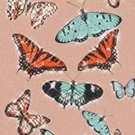 @ben_._darwin - Instagram