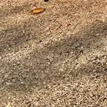 Benjamín - @bendo_rr - Instagram