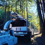 Ben Dougherty - @northernlighttreeworks - Instagram