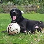 Ben Drummond - @ben_drummond1 - Instagram