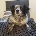 Ben Eberhardt - @eberhardt2988 - Instagram