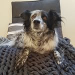 Ben Eberhardt - @ben_x_2011 - Instagram