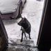 Ben Eberly - Facebook