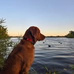 Ben Ebert - @beneberthuntingandfishing - Instagram