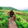 Ben Ebong - @ben.ebong4 - TikTok