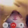 Ben Ebrahim - @benebrahim - TikTok