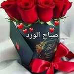 Hakima cher - @benebrahim - Instagram