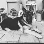 Ben Eckert - @beneckert1 - Instagram