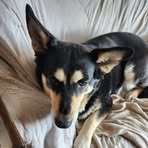 Ben Eckert - Facebook