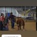 Ben Eddy - Facebook