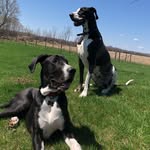 Ben&Eddy - @adventuresofbenanded - Instagram