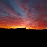 Ben Edelman - @ben.edelman.503 - Instagram