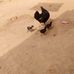 Ben Edem - Facebook
