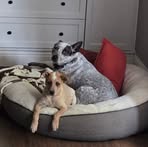 Ben Edkins - Facebook