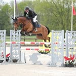 Ben Edwards - @benedwardsequestrian - Instagram