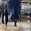 Ben egan - @benegan087 - TikTok