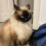 Ben Eggertsen - @padawanslacker - Instagram