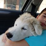 Ben Eglik - @ben_eglik - Instagram