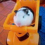 Liz beneg - @benegliz - Instagram