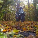Ben Ehrlich - @bibo18807 - Instagram