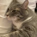 Ben Eicher - @ben_eicher_02 - Instagram