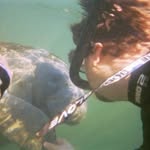 Ben Eicher - @yldiver1990 - Instagram