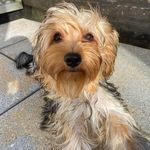Ben Eisenberg - @selormeycharles - Instagram