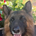 Ben Eismann - @eismannben - Instagram