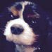 Benjamin Elderkin - Facebook