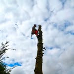 Ben Eley - @eley.ben - Instagram