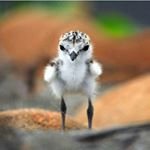 @benny.ellenbecker - Instagram