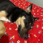 Ben Ellenberger - @bellenberger02 - Instagram