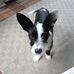 Ben Ellington - Facebook