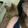 Elo - @selambeneloy - TikTok