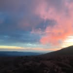 Ben Elsener - @benelsener - Instagram
