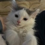 Ben Elswick - @brob0201 - Instagram