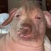 Benjamin Elswick - Facebook