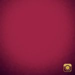 Ben Elvin - @ben.elvin - Instagram
