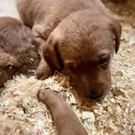 Ben Emberton - @ben.m.emberton - Instagram